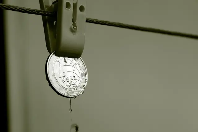 Guide d'achat broyeurs de déchets végétaux budget