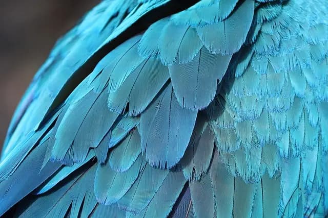 Mejores artefactos de la era victoriana - Guía de compra