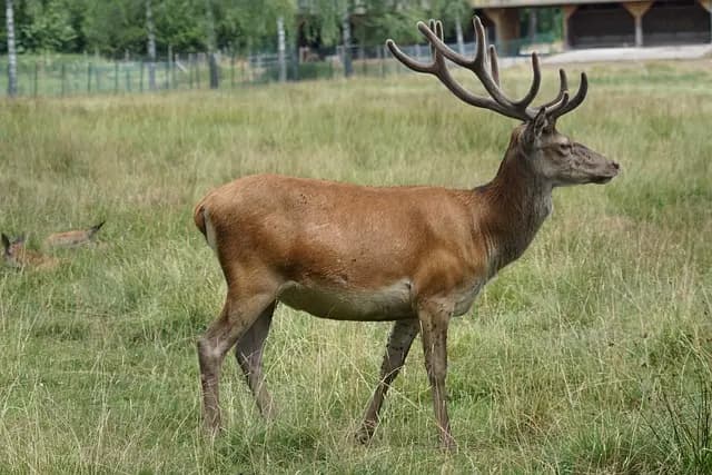 Najlepsze ekologiczne farby - Poradnik zakupu