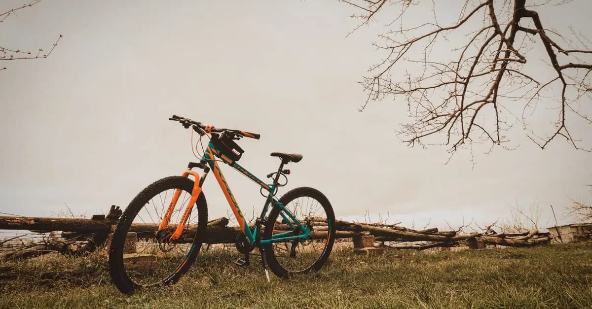 Guía de Compra de Bicicletas de Montaña Económicas