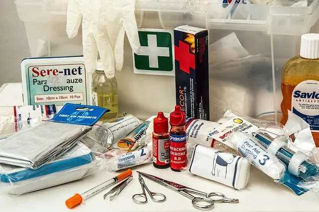 Best Pet First Aid Kit: Your Comprehensive Buying Guide