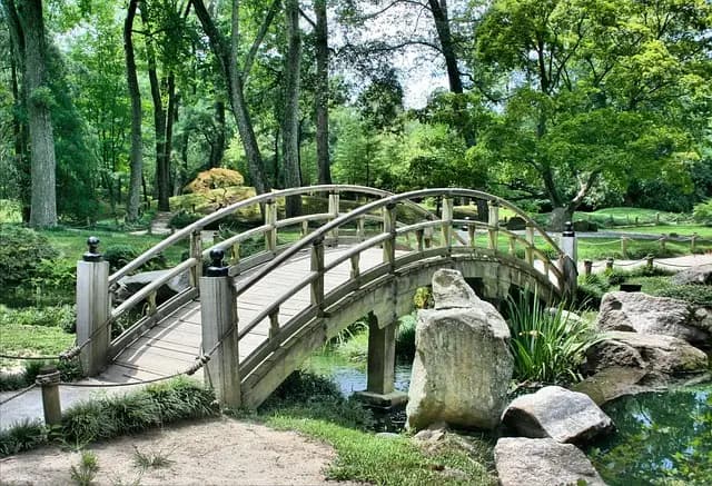 Guide Complet sur le Jardinage en Ville