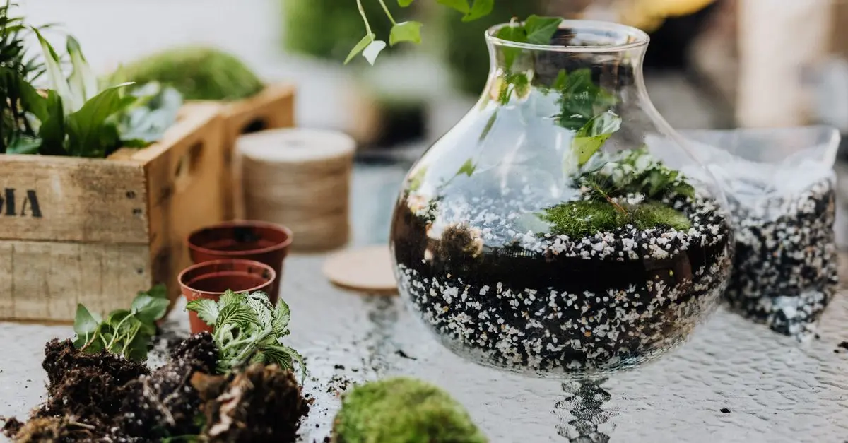 Creative DIY Garden Projects for Your Outdoor Space