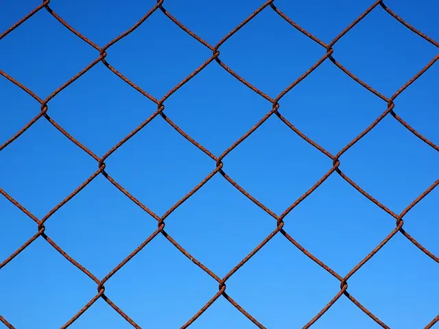 Guide d'achat : système WiFi mesh abordable