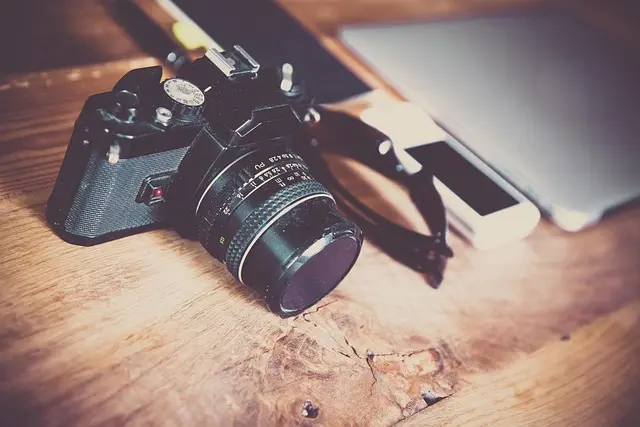 Choosing the Best Pet Cameras for Your Needs