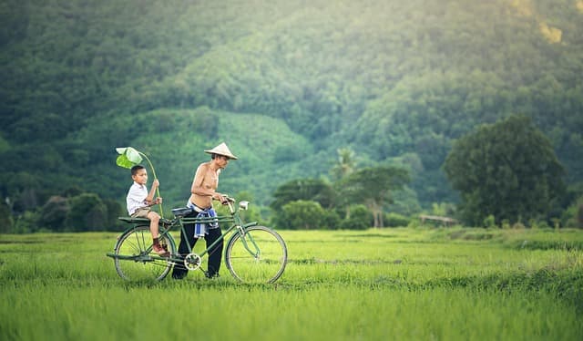 Guide d'Achat : Choisir son Safari sans Erreurs