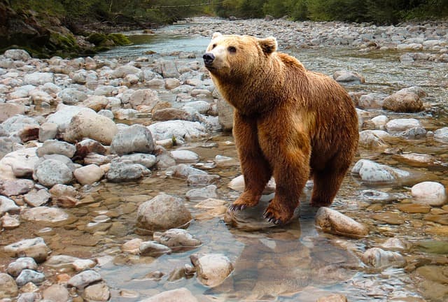 Engaging Science Projects for Curious Minds