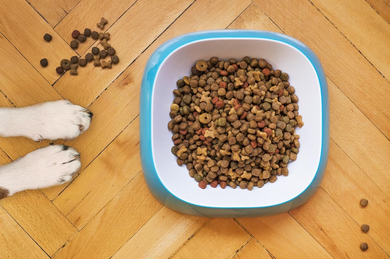Essential Guide to Pet Food Nutrition: Avoid Common Buying Mistakes