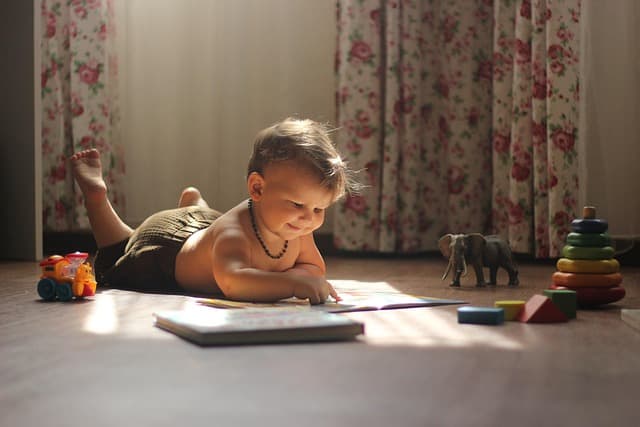 Zabawki edukacyjne dla psów - Przewodnik zakupowy